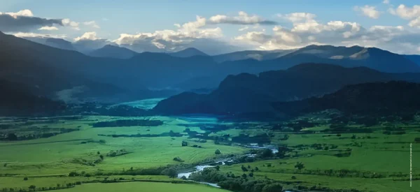 godrej-woodside-estate